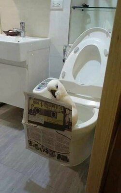 daily_picdump-40-5.jpg