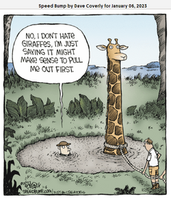 giraffes.png