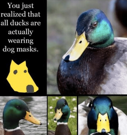 79CnTudZ0w.png