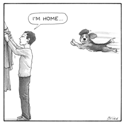 SVhtTjM.png
