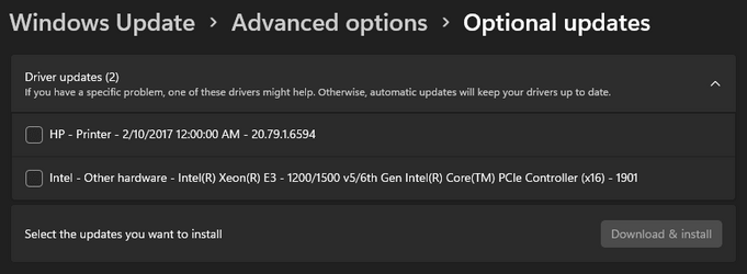 Optional Driver Updates.png