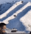 firefox_X64wXwluG7 - Trim (64x71).gif