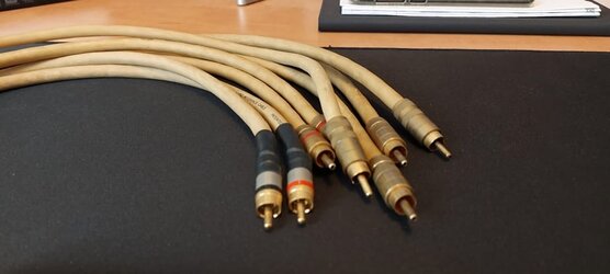 mit.jpg mit.jpg