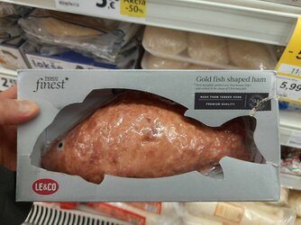 daily_picdump-38-3.jpg daily_picdump-38-3.jpg