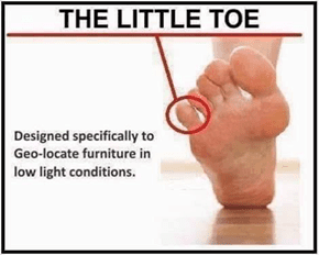 little toe.png