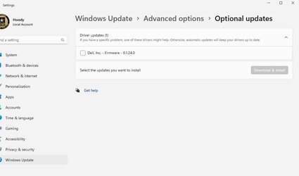W11 Windows Update optional.jpg