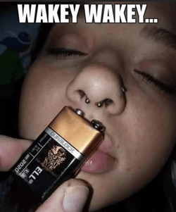 1677081786418.png