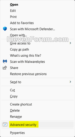 Advanced_security_context_menu.png