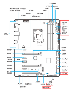 Image1.png
