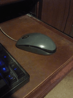 image1.png