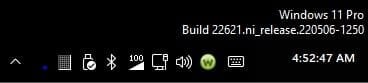 Windows 11 Build Number.jpg