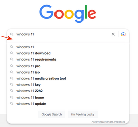 Google In Firefox With Search.png