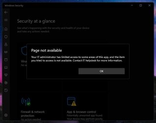 Windows.jpg