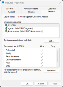 Properties - Security Tab.png