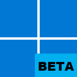 Windows_11_BETA.png