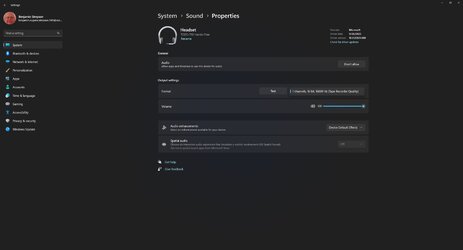 Screenshot Audio Properties.jpg