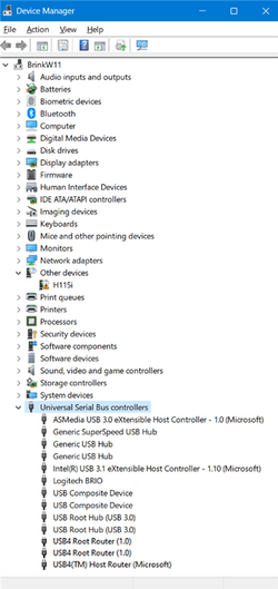 USB_ports_Device_Manager.png