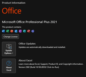 Excel Version.png