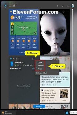 Add_Phone_Link_widget-2.jpg