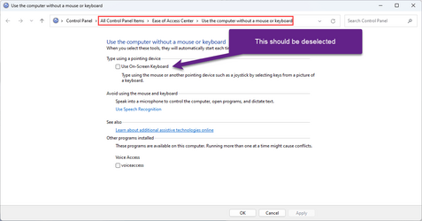 osk-control panel settings.png