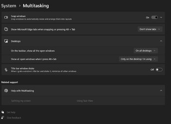 Multitasking Options.jpg