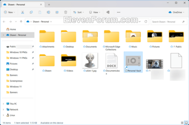 OneDrive_Personal_Vault.png