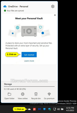 Setup_OneDrive_Personal_Vault-1.png