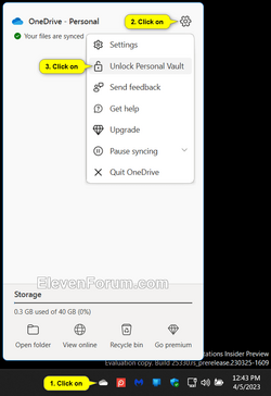 Setup_OneDrive_Personal_Vault-2.png
