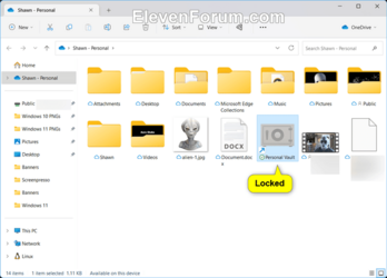 OneDrive_Personal_Vault_locked.png