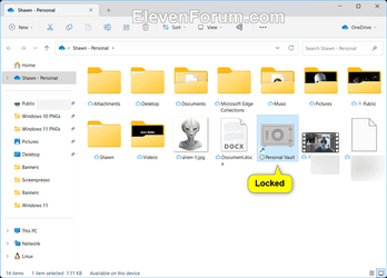 OneDrive_Personal_Vault_locked.png