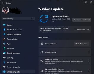 WIndows 11 Insider Preview 25336.1000 rs_prerelease.jpg