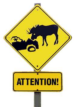 Image3.png