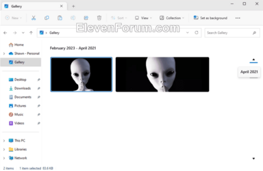 Gallery_in_File_Explorer_navigation_pane.png