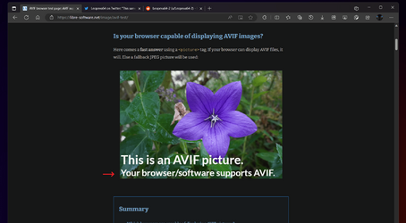 edge support AVIF.png