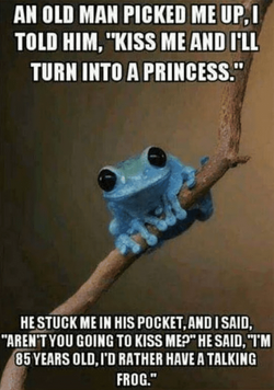 froggy.png