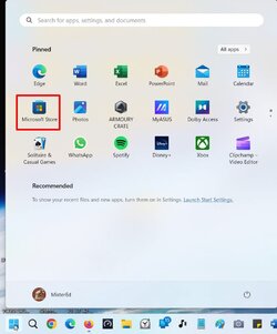 MS Store.jpg