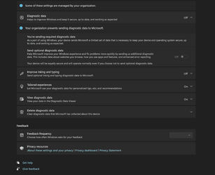 Snapshot of Diagnostic Isssue in settings.png
