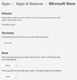 Microsoft Store App_.png