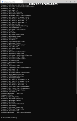 Reset_app_PowerShell-2.png