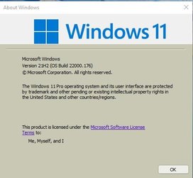 Win 11 OS Build 22000.176.PNG.jpg