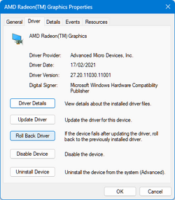 AMD Radeon - MS-supplied driver.png