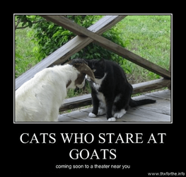 Cats who stare at Goats.png