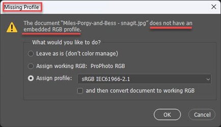 File stripped of profile by Snagit.jpg