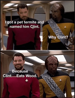 UC6gw4N2Xt.png