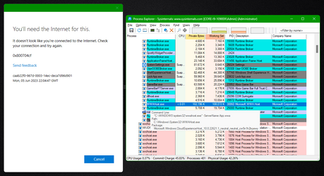 Process Explorer - WWAHost.png