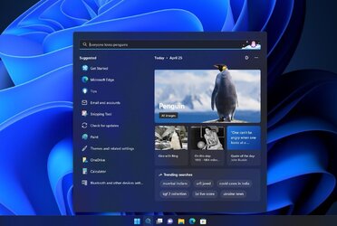 Windows-11-Search-interface.jpg