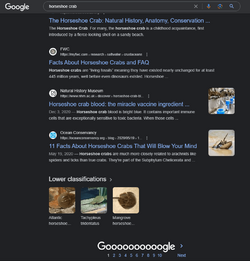 Screenshot 2023-06-24 200337.png