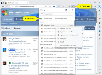 Microsoft_Edge_all_history_pane.png