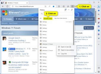 Microsoft_Edge_recent_history_pane.png