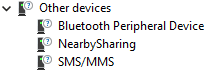 Other Devices In Device Manager__.png